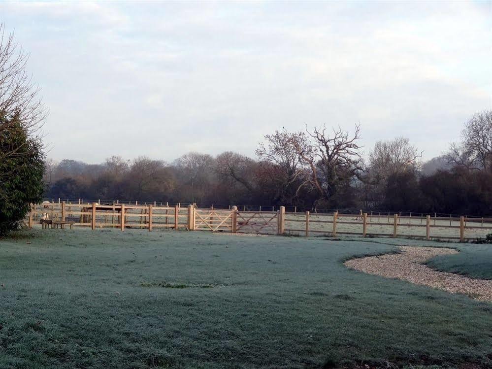 Huxham Farmhouse Bed & Breakfast East Pennard Exterior photo